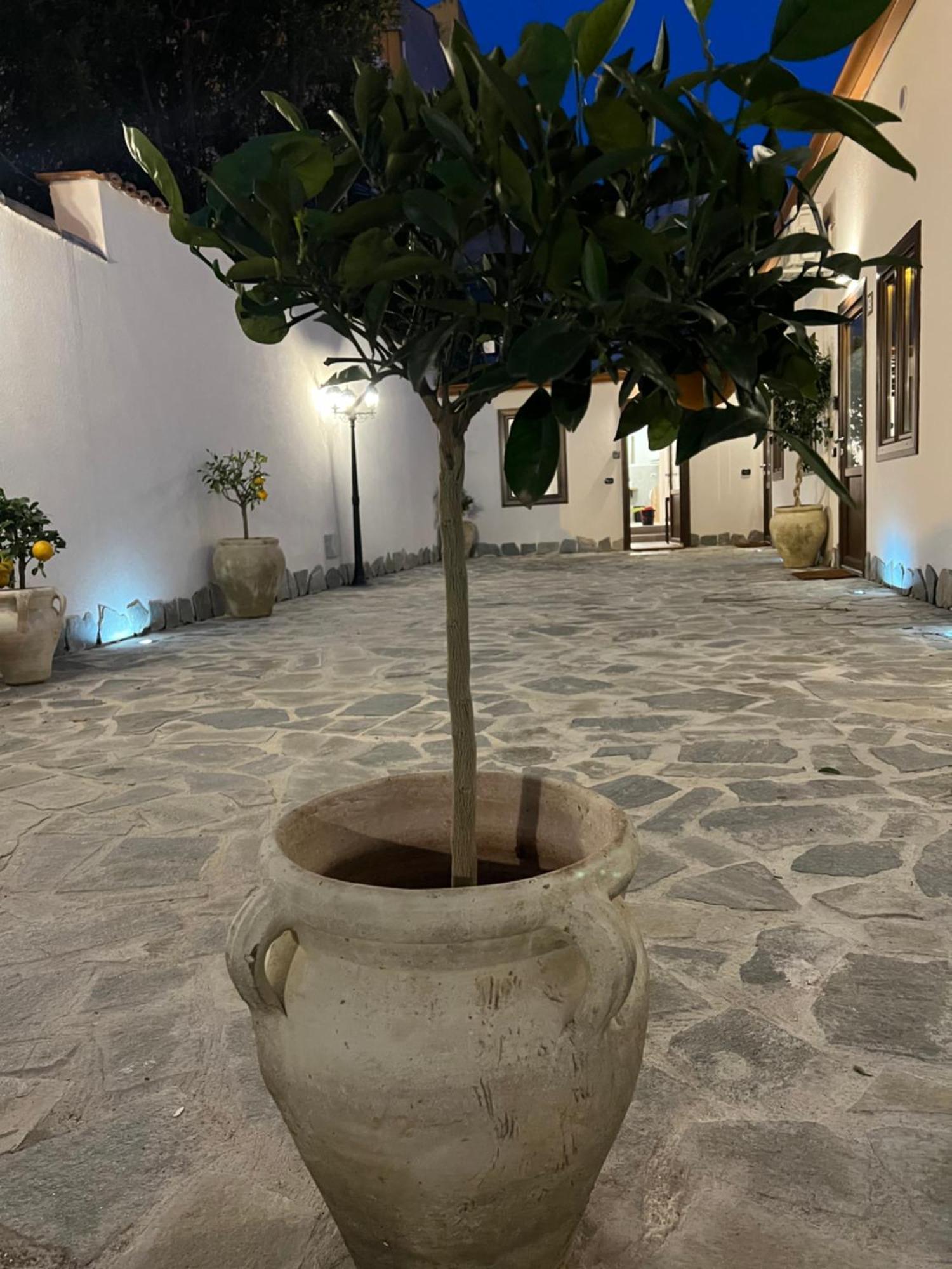 Cedros Lägenhet Palermo Exteriör bild